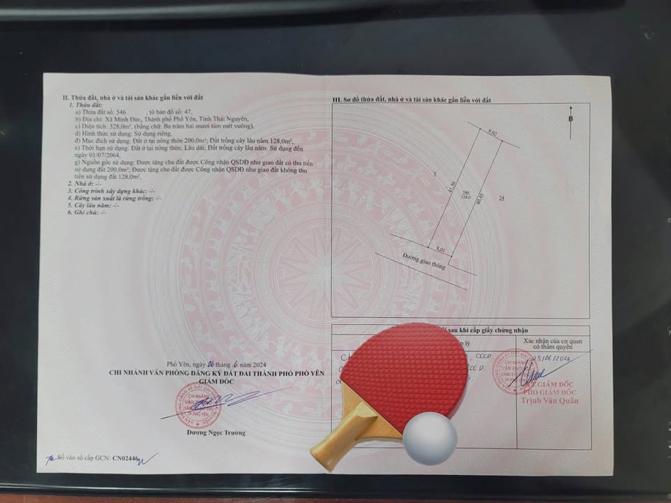 Đất nền Phúc Thuận Phổ Yên 328m² 1.9 tỷ - Tiềm năng tăng giá