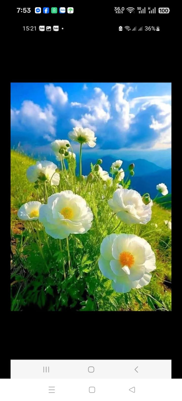 Xưởng cho thuê Tân Vĩnh Hiệp 500m² giá 19tr - Hoạt động ngay