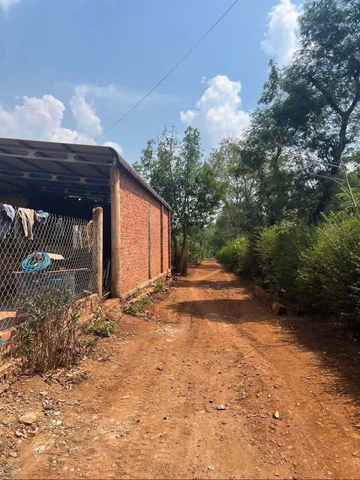 Đất nền Dur KMăl Đắk Lắk 250m² 145 triệu - Sổ đỏ chính chủ