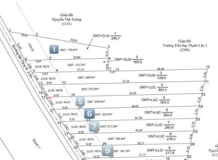 Đất Thạnh Lộc 217-303m² 450-650 triệu - Tiềm năng tăng giá