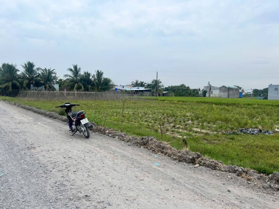 Đất nền Mỹ Hạnh Nam 200m² 1.25 tỷ - Sổ đỏ chính chủ, đường nhựa