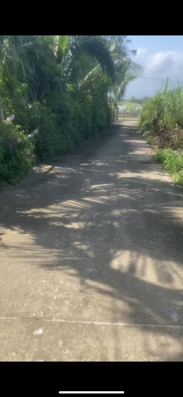 Đất nền Phổ Quang 132m² 800tr - Thổ cư 100%