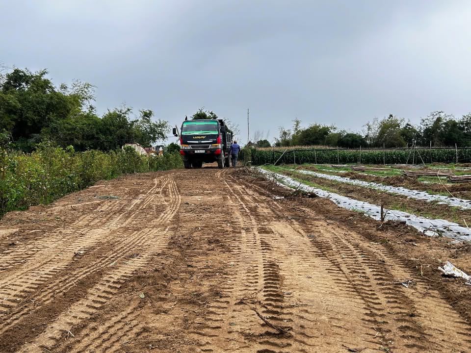 Đất vườn Phước Hiệp Tuy Phước 1.200m², Giá tốt hiếm có