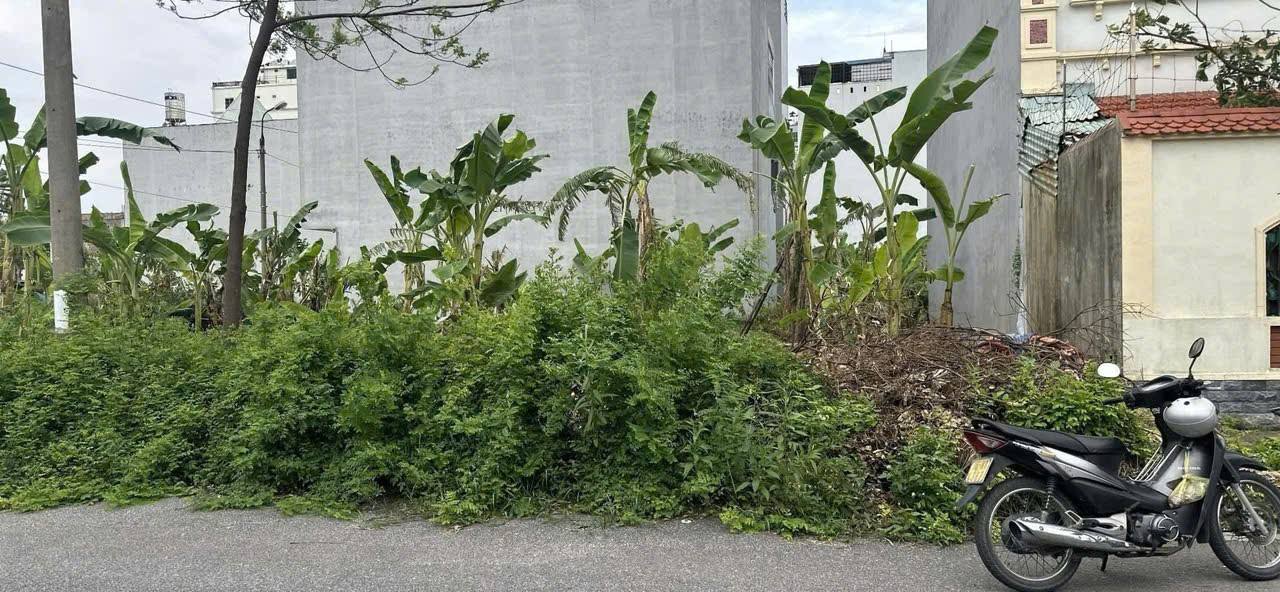 Townhouse Doji Land Thủy Nguyên 200m² 9 tỷ - Vị trí đắc địa