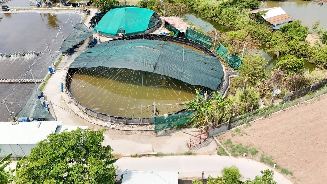 Đất nền Tân Phú Đông 2.000m² giá 1.2 tỷ - Sổ đỏ chính chủ