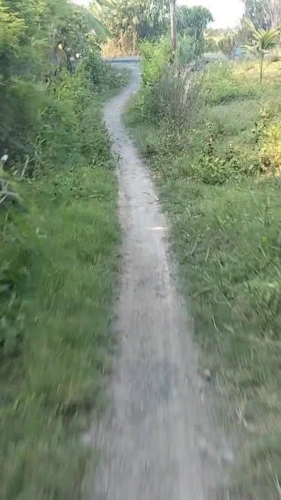 Đất nền Bình Phú Gò Công Tây 490 triệu 1600m² - Sổ sẵn