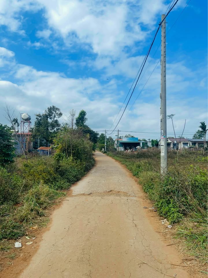 Đất nền Hòa Đông Krông Pắc 125m² 560 triệu - Tiềm năng tăng giá