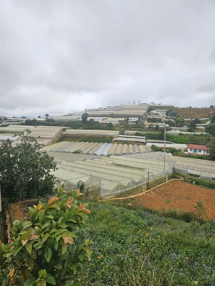 Đất Huỳnh Tấn Phát Đà Lạt 1.367m² 17 tỷ - Sổ đỏ chính chủ