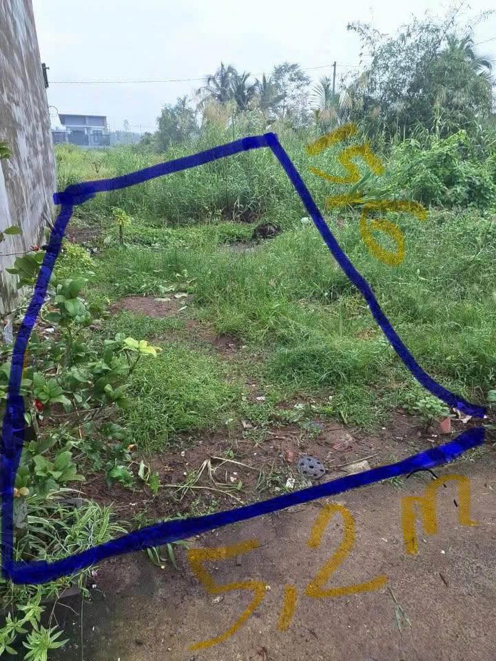 Đất nền Đại lộ Đông Tây Phú Khương 81m² giá 800 triệu – Sổ đỏ chính chủ đang chờ