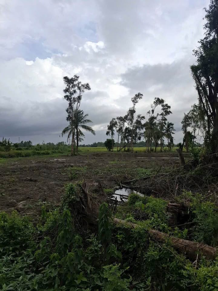 Đất làm nhà vườn Rạch Giá 3.529m² 2.47 tỷ - Đầu tư dài hạn