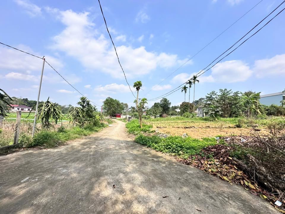 Đất nền Xóm Toán Tiên Kiên 115m² - Sổ đỏ chính chủ