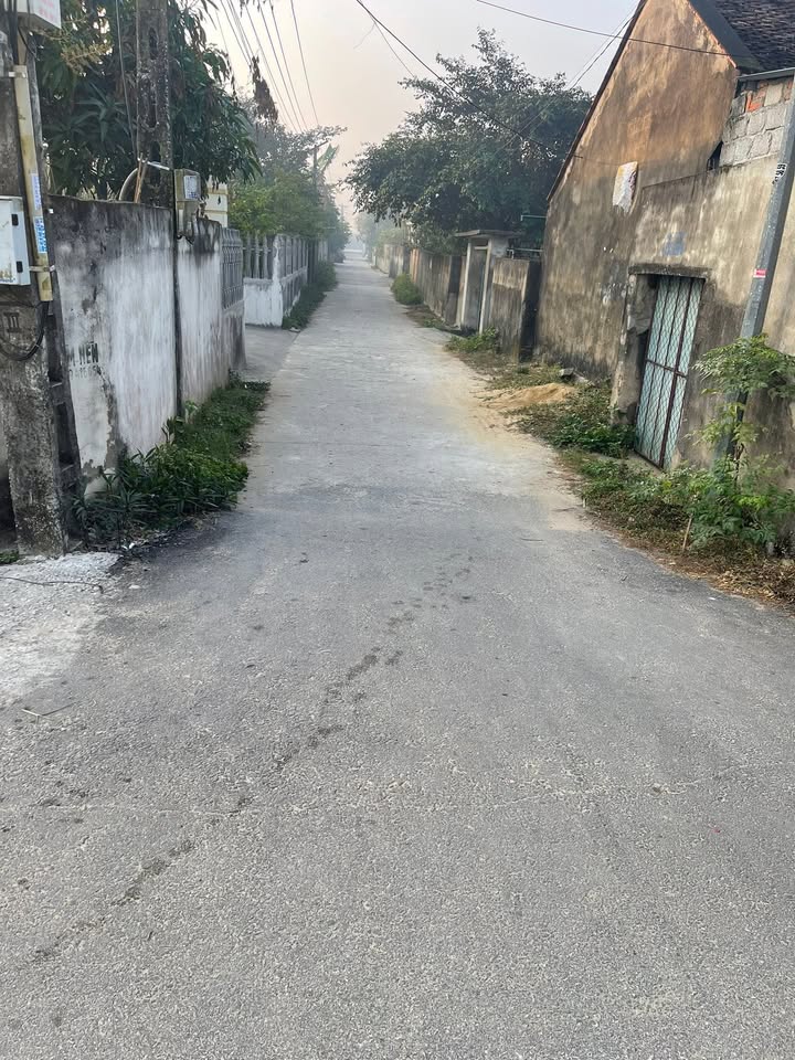 Đất nền Hoằng Đạo 120m² giá 900 triệu - Sổ đỏ chính chủ