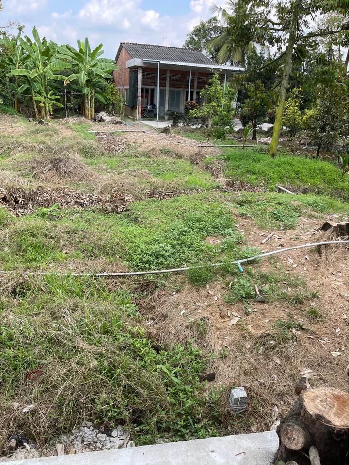 ĐẤT NỀN Long Khánh 125m² 420tr - Sổ đỏ chính chủ