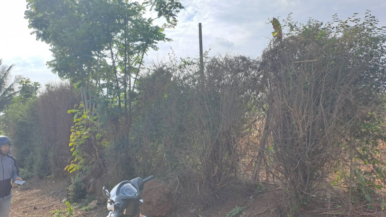 Đất nền Ea Drông Buôn Hồ 500m² thỏa thuận - Sổ đỏ chính chủ