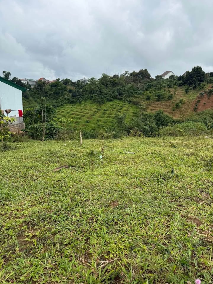 Đất nền Liên Đầm Di Linh 225m² 520 triệu - Sổ đỏ chính chủ