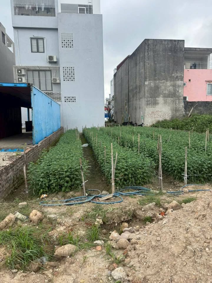 Đất nền Bùi Viện Hải An 162m² 11.988 tỷ - Sổ đỏ chính chủ