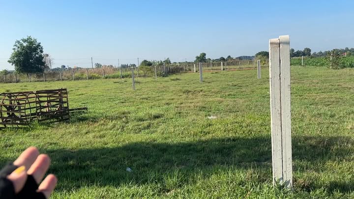 Đất Long Thuận Bến Cầu 250m² 250 triệu - Xây dựng tự do