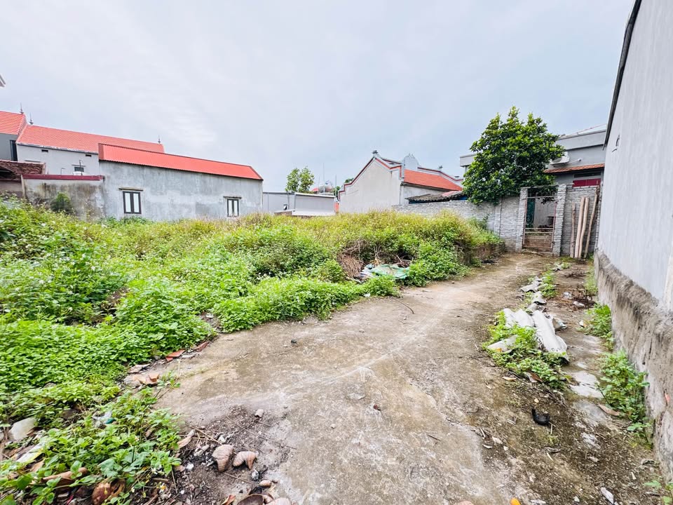 Đất nền Bắc Ninh Lương Tài 100+142m² giá 1 tỷ - Tiềm năng tăng giá