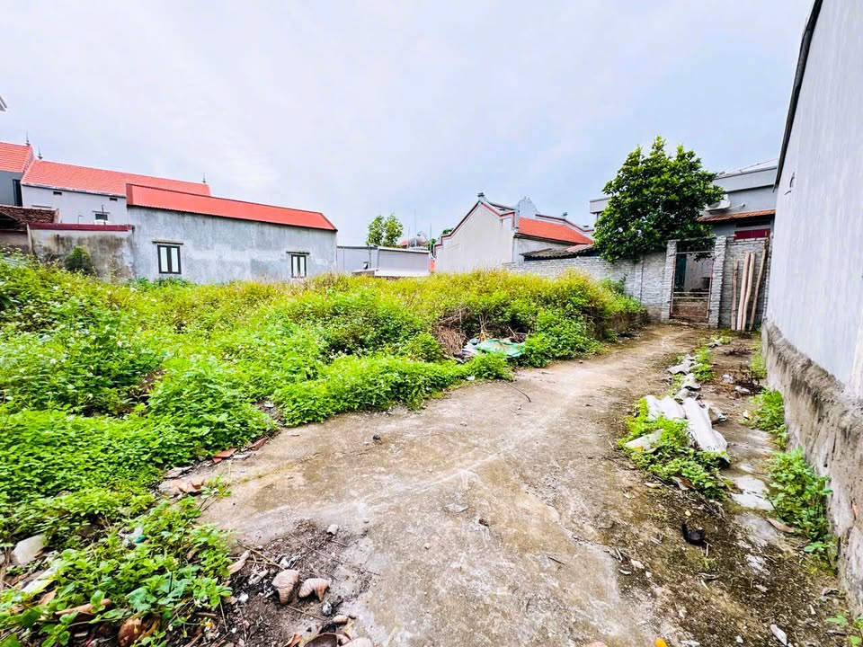 Đất nền An Thịnh Lương Tài 242m² 1 tỷ - Tiềm năng tăng giá