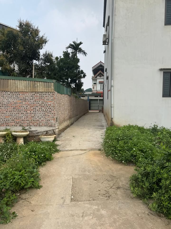 Đất nền Cần Kiệm Thạch Thất 104m² 3,12 tỷ - Sổ đỏ chính chủ