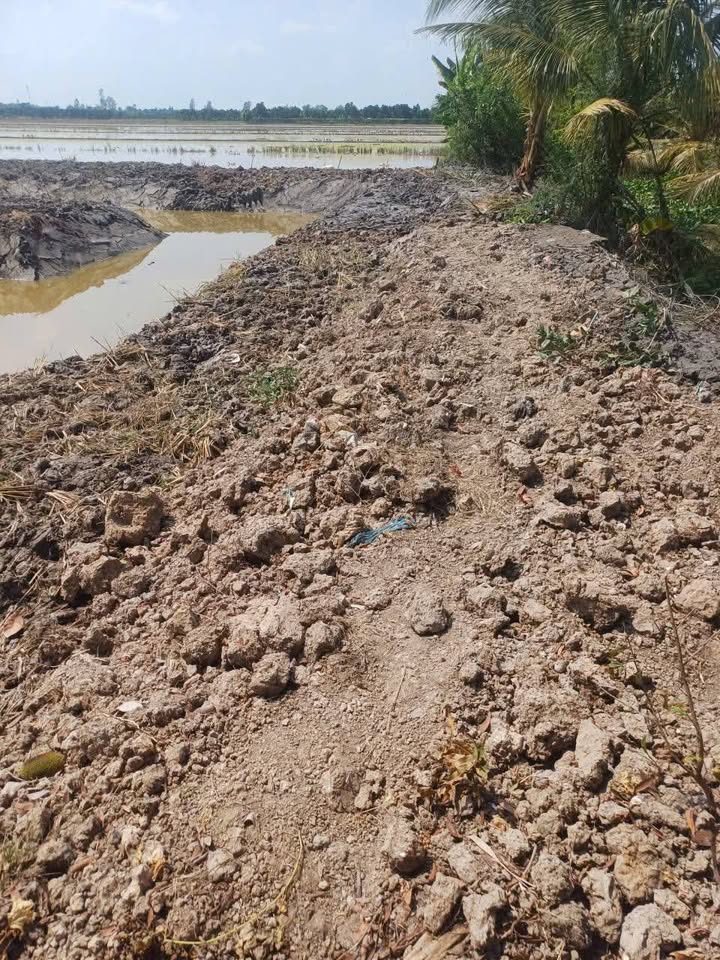 Đất nền Mỹ An 4000m² giá 1 tỷ - Đầu tư dài hạn sinh lời