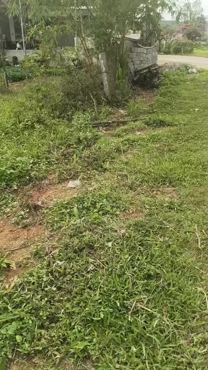 Đất Quốc lộ 15A Tân Kỳ 447m2 - Đường to ô tô