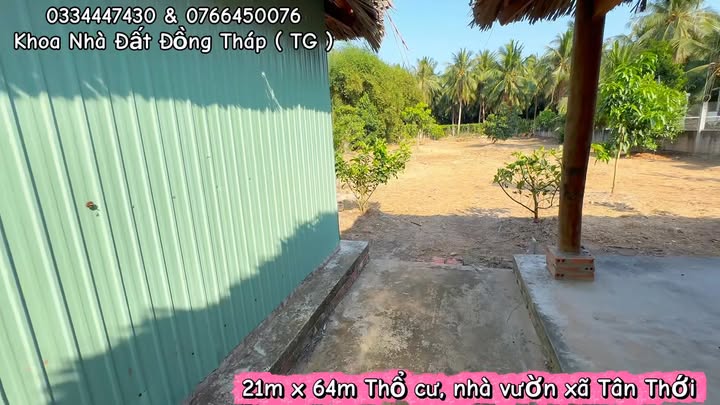 Đất vườn Tân Thới 1.374m² 850 triệu - Sinh thái xanh