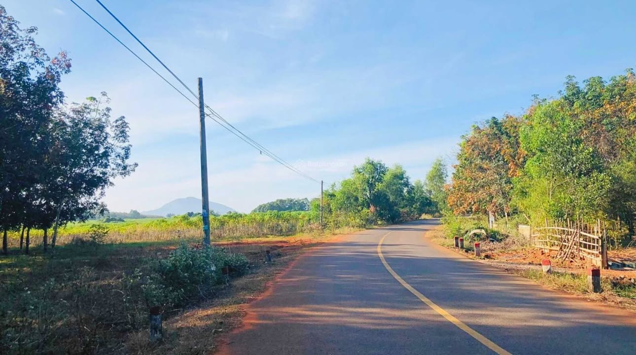 Đất Tập Đoàn 7 Bình Chánh 2.245m² - Pháp lý rõ ràng