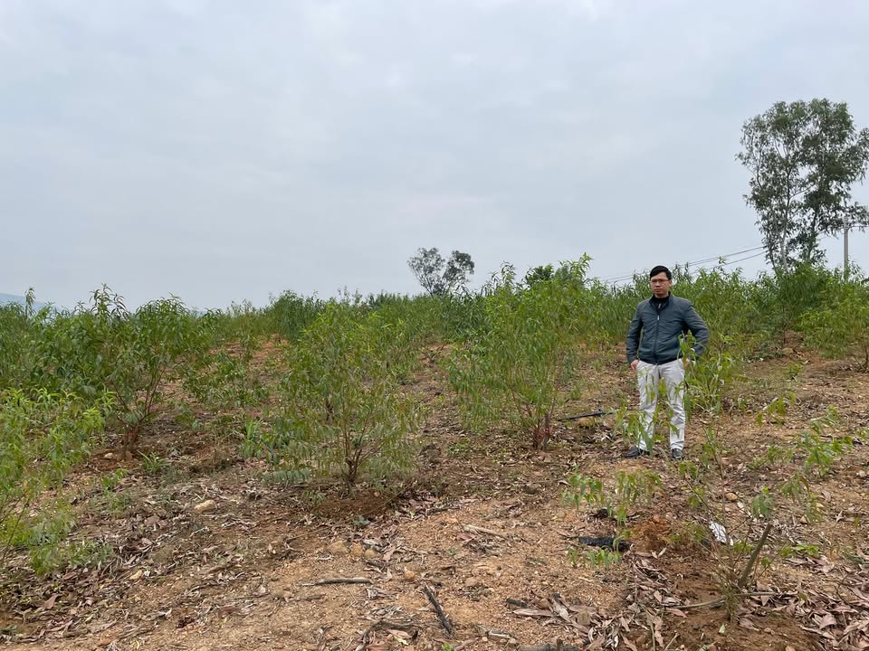 Đất nền Thống Nhất Hạ Long 1636m² - Sổ đỏ giữ tài sản