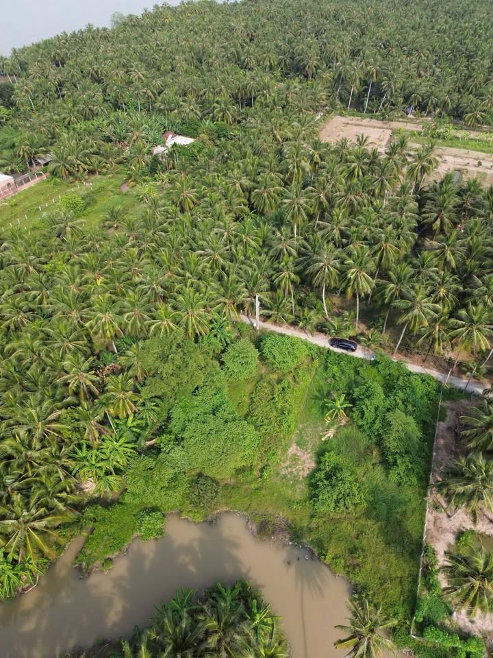 Đất Tân Thới Tân Phú Đông 170m² 260 triệu - Sổ hồng riêng