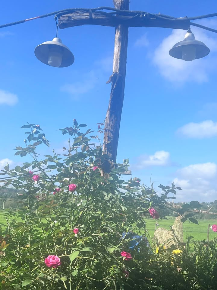 Đất nền Ea Pốk 165m² 680 triệu - Hạ tầng hoàn thiện