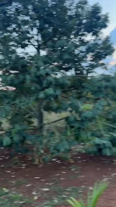 Đất nền Cư Pơng Krông Búk 21.440m² 20.84 tỷ - Sổ đỏ chính chủ