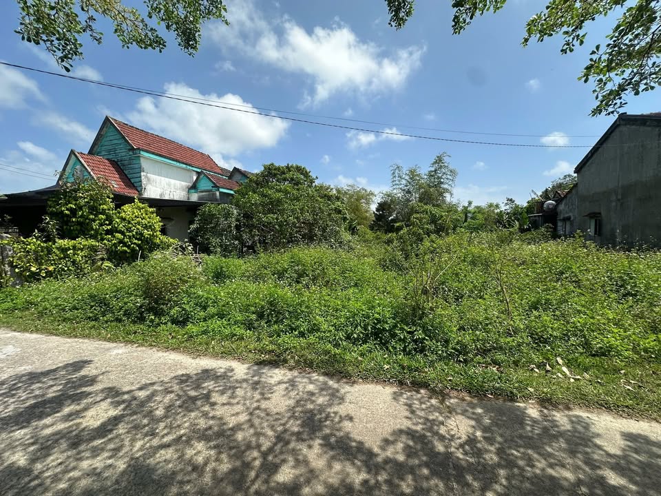 Đất Bình Phục Thăng Bình 150m² 700-799 triệu - Pháp lý rõ ràng