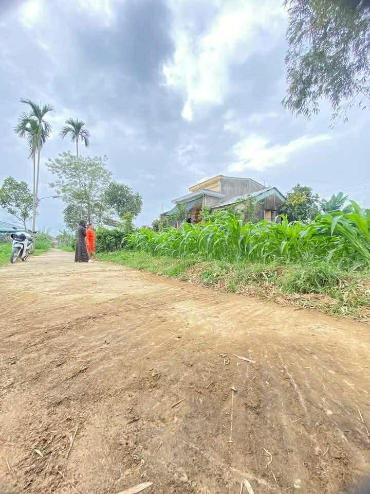 Đất nền Điện Quang 173m² 430 triệu - Sổ đỏ chính chủ xây tự do