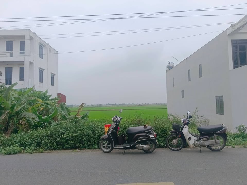 Đất nền Đường Phạm Ngọc Thạch 125m² - Sổ đỏ chính chủ