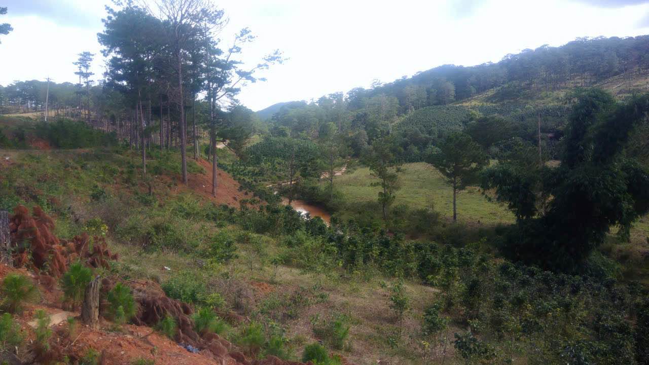 Đất vườn Đạ Nhim 1080m² sinh thái xanh hiếm