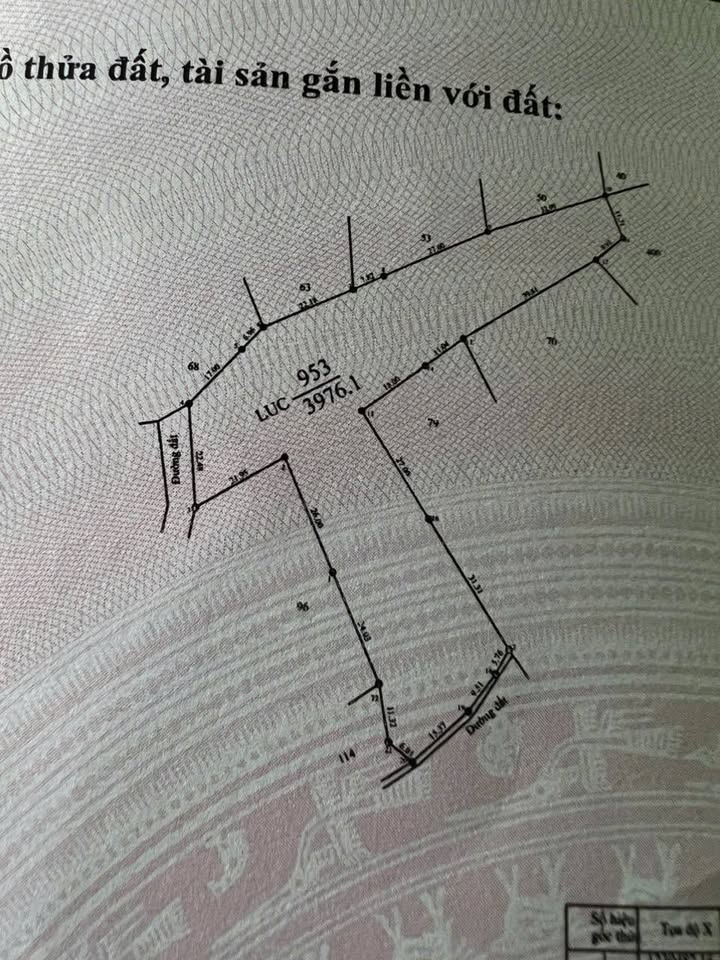 Đất nền Thị trấn Bến Cầu 4000m² giá 850 triệu – Đầu tư dài hạn