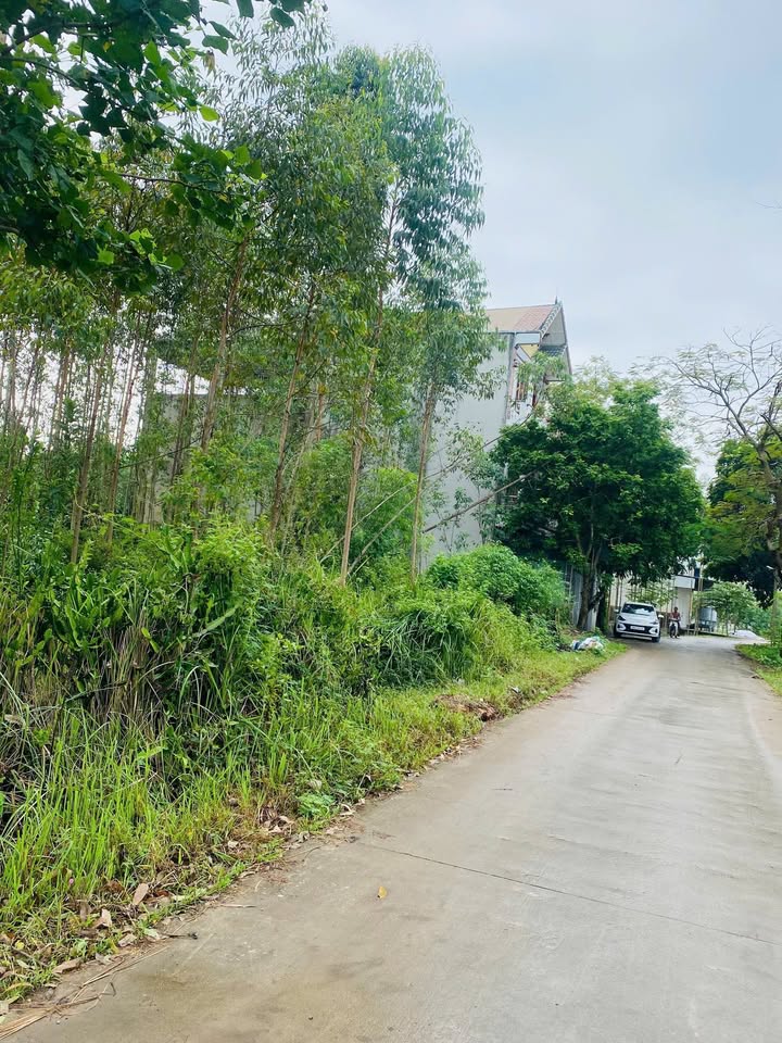 Đất nền Phường Đa Mai 100m² 1.8 tỷ - Tiềm năng tăng giá