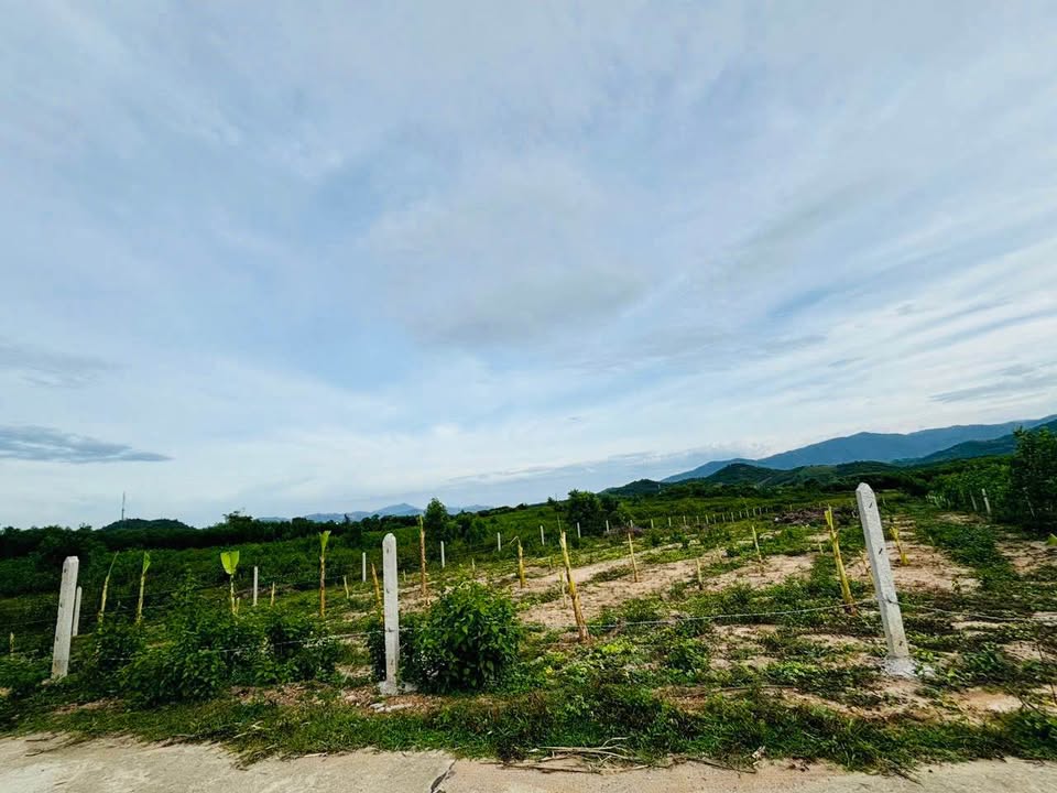 Đất nền Diên Toàn 850m² giá 599 triệu - Sổ đỏ chính chủ