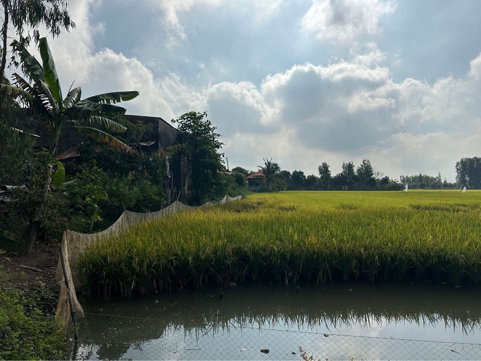 Đất nền Bình Khánh 4060m² 3.8 tỷ - Sổ đỏ chính chủ