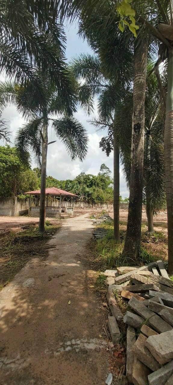 Đất vườn Long Xuyên QL91 5.453m² 38,171 tỷ - Đầu tư dài hạn