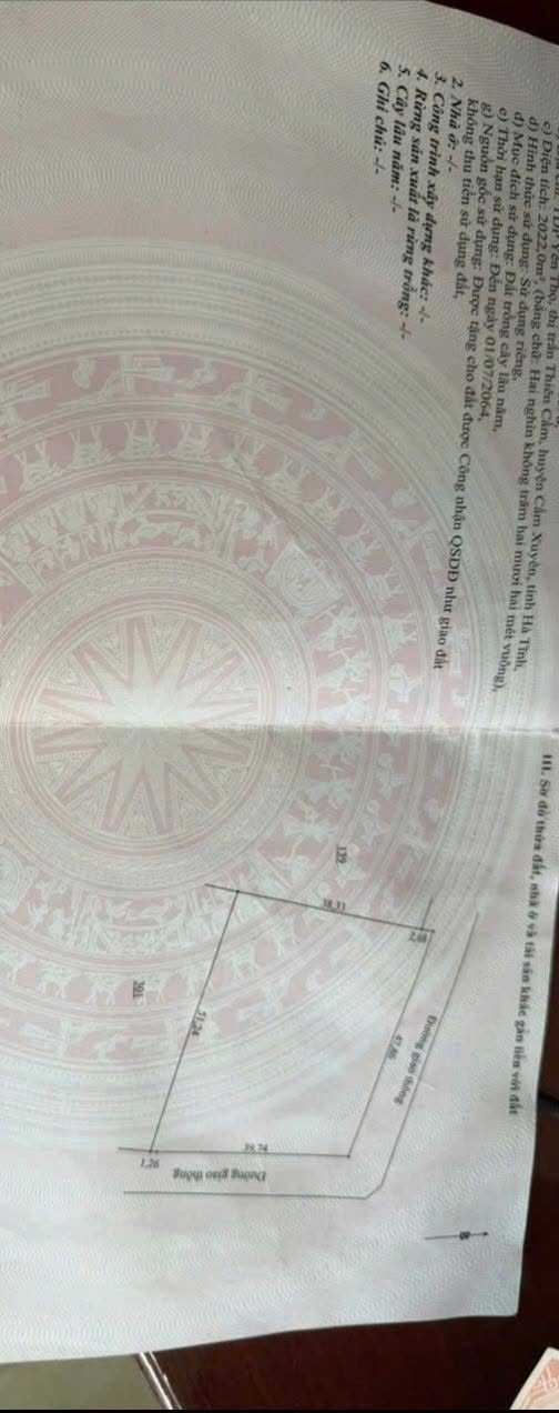 Đất trồng cây Cẩm Nhượng 2022m² - Sổ đỏ chính chủ