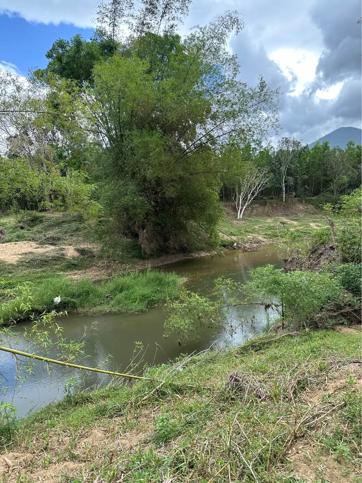 Đất vườn Khánh Đông 3ha 4.5 tỷ - Nghỉ dưỡng lý tưởng