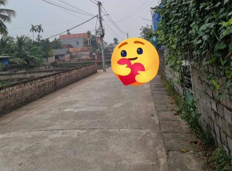 Đất Phú Xuyên 100m² giá 3x tỷ - Đường to ô tô