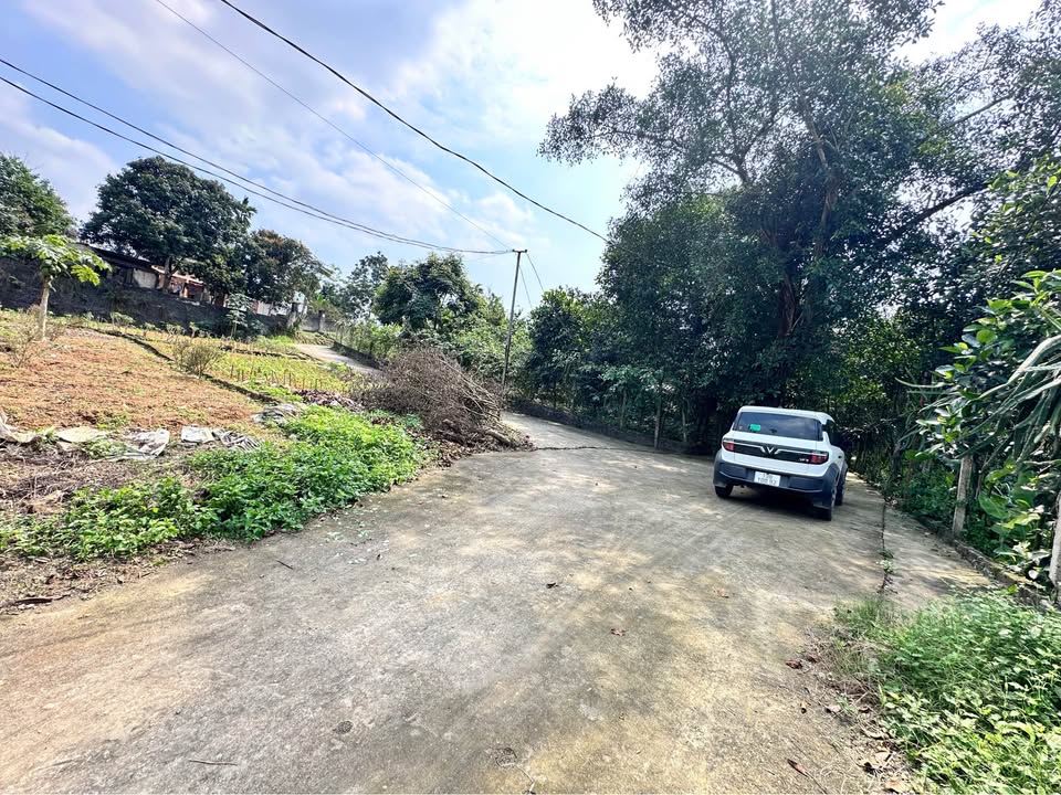 Đất nền Xóm Toán 115m² 500-599 triệu - Đất thổ cư 100%