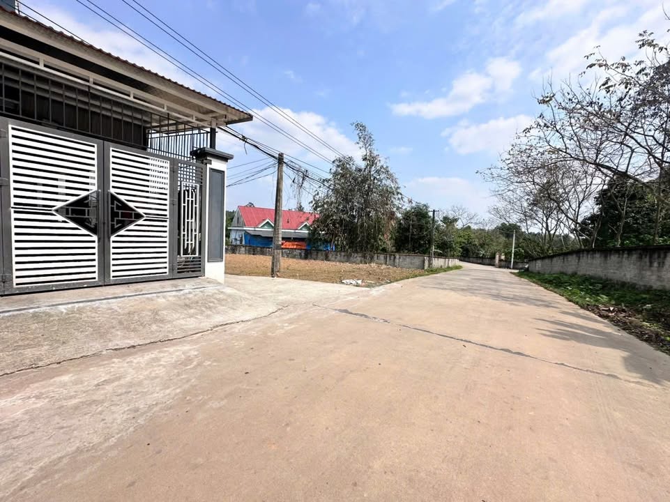 Đất nền Tiên Kiên Lâm Thao 129m² 790 triệu - Đường to ô tô