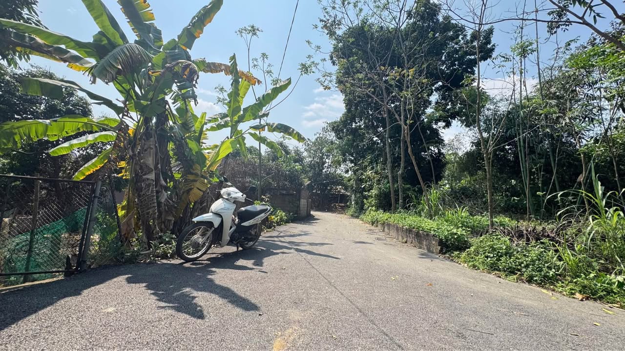 Dat nen Van Truc Lap Thach 220m2 8xx trieu - So do