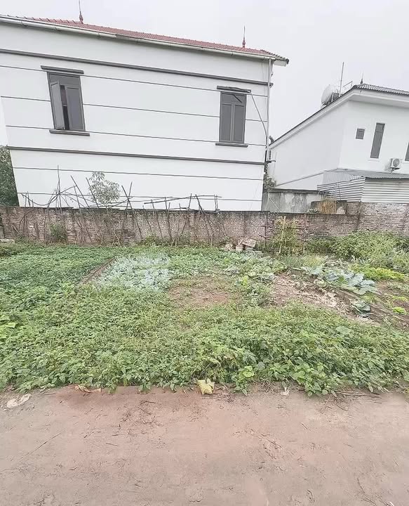 Đất nền Cẩm Đình Phúc Lộc 42m² tiềm năng tăng giá