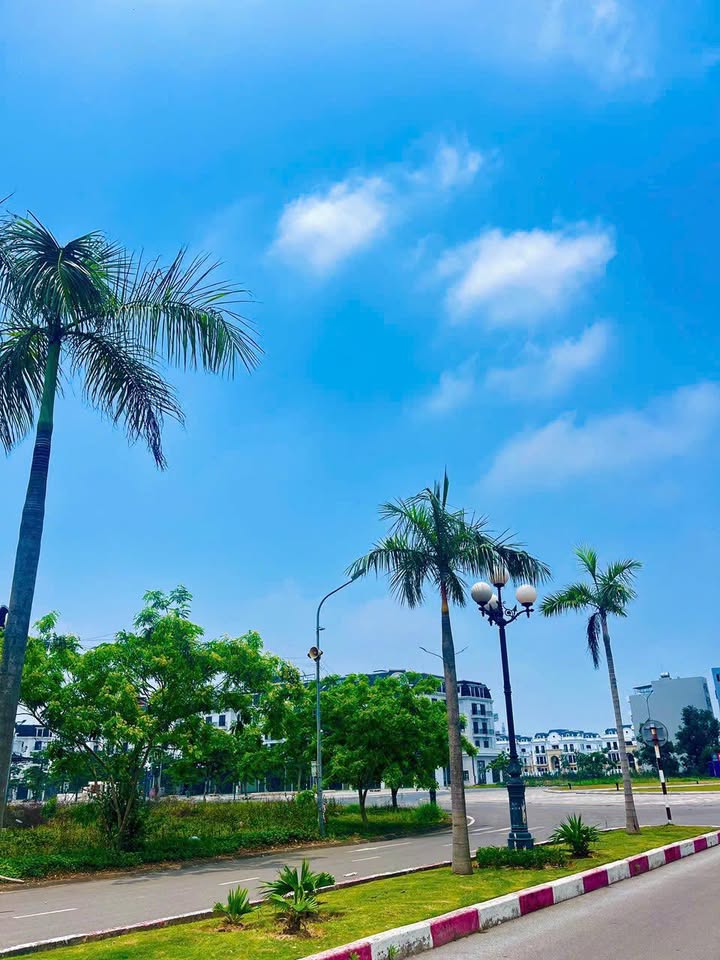 Đất nền KĐT Phía Nam Bắc Giang 252m² - Đường to ô tô