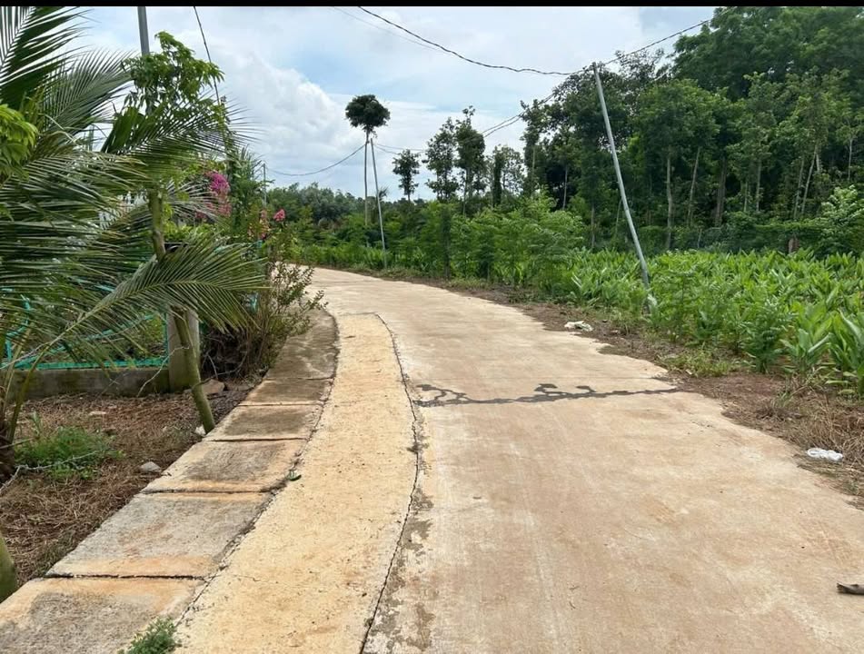 Đất nền Quảng Thành 470m² 950 triệu - Sổ đỏ chính chủ